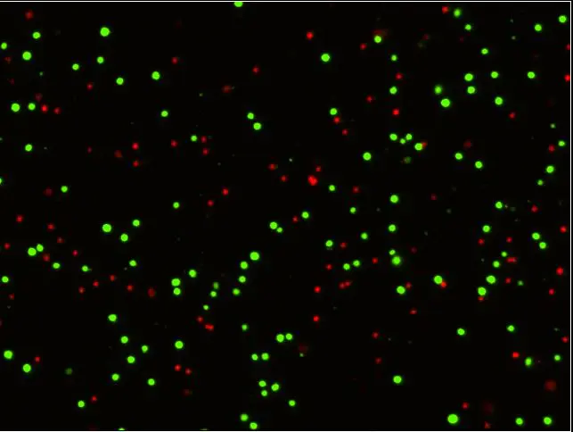 Liczniki komórek i cytometry