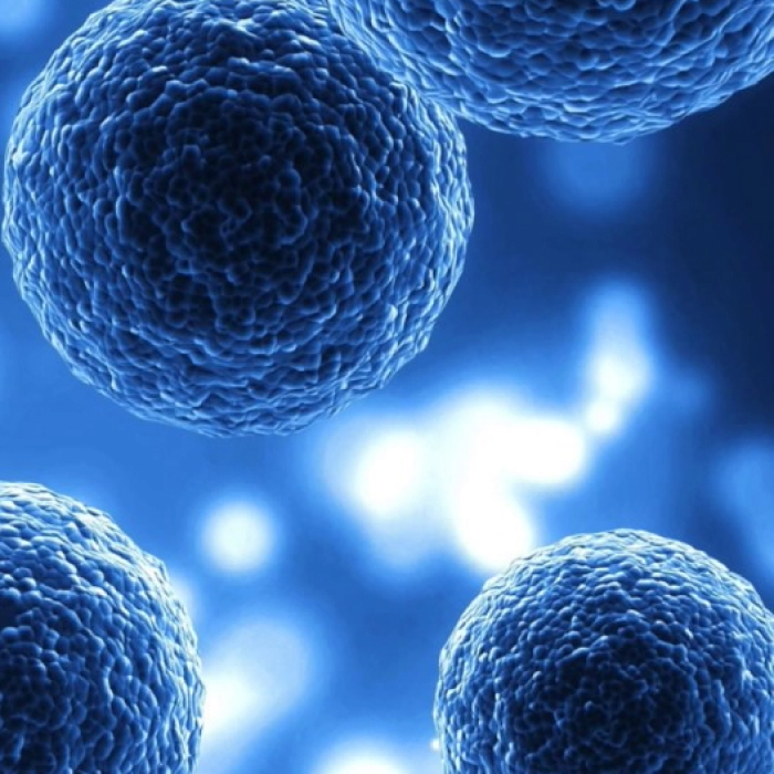 Technologia switchSENSE® 