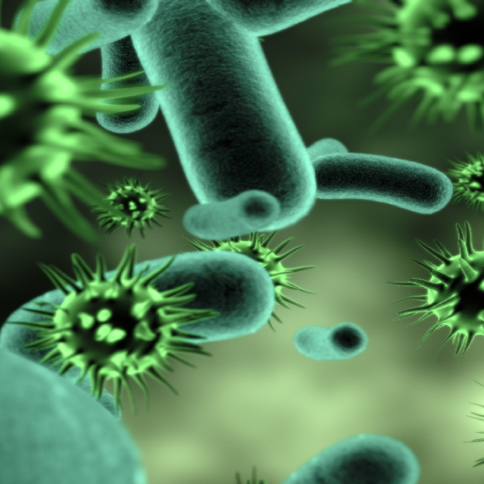 Czytniki mikropłytek MLD